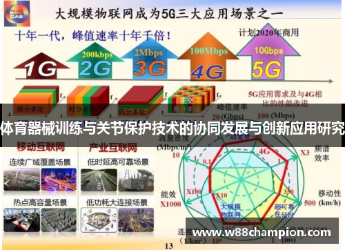 体育器械训练与关节保护技术的协同发展与创新应用研究