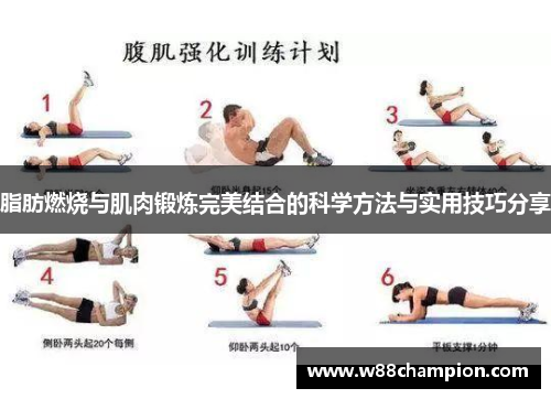 脂肪燃烧与肌肉锻炼完美结合的科学方法与实用技巧分享